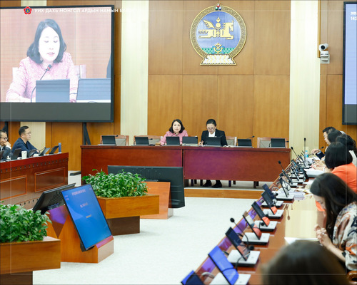 ӨБХ: ҮЛ ХӨДЛӨХИЙН 2 ХУВИЙН ТАТВАРЫГ ХҮЧИНГҮЙ БОЛГОХ АСУУДЛААР ХУУЛИЙН ТӨСӨЛ САНААЧЛАХЫГ ДЭМЖЛЭЭ